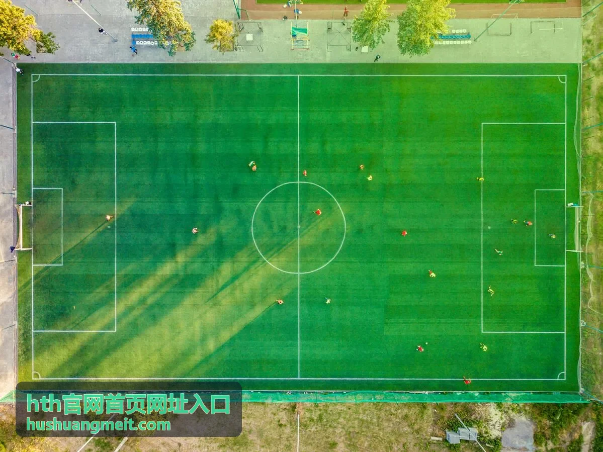 企业用户通过hth官网首页网址入口获取公告信息