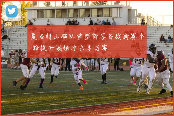 夏洛特山猫队重塑阵容备战新赛季 盼提升战绩冲击季后赛