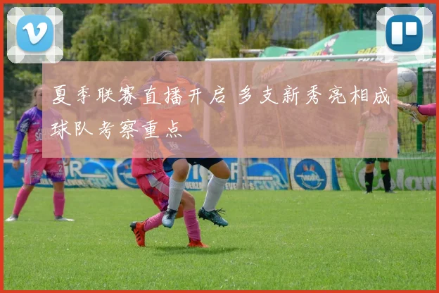 夏季联赛直播开启 多支新秀亮相成球队考察重点