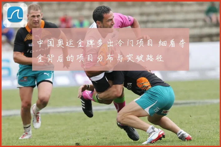 中国奥运金牌多出冷门项目 细看夺金背后的项目分布与突破路径
